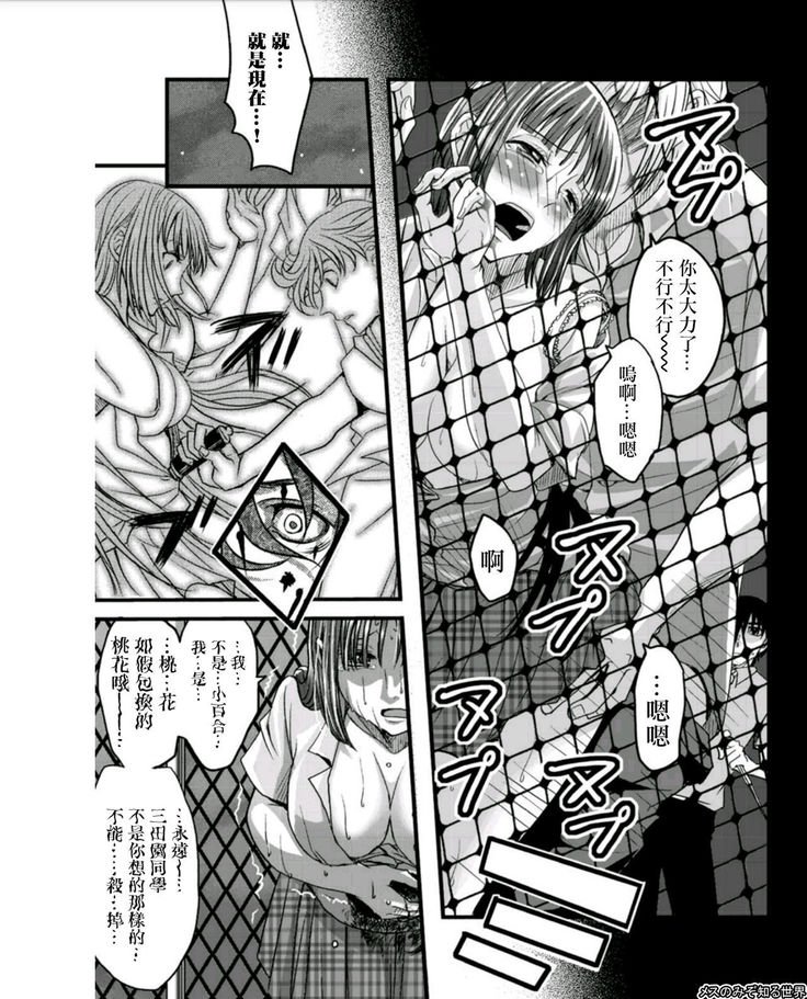 メスのミゾシル世界Ch。 6 メスのミゾシル世界Ch。 6