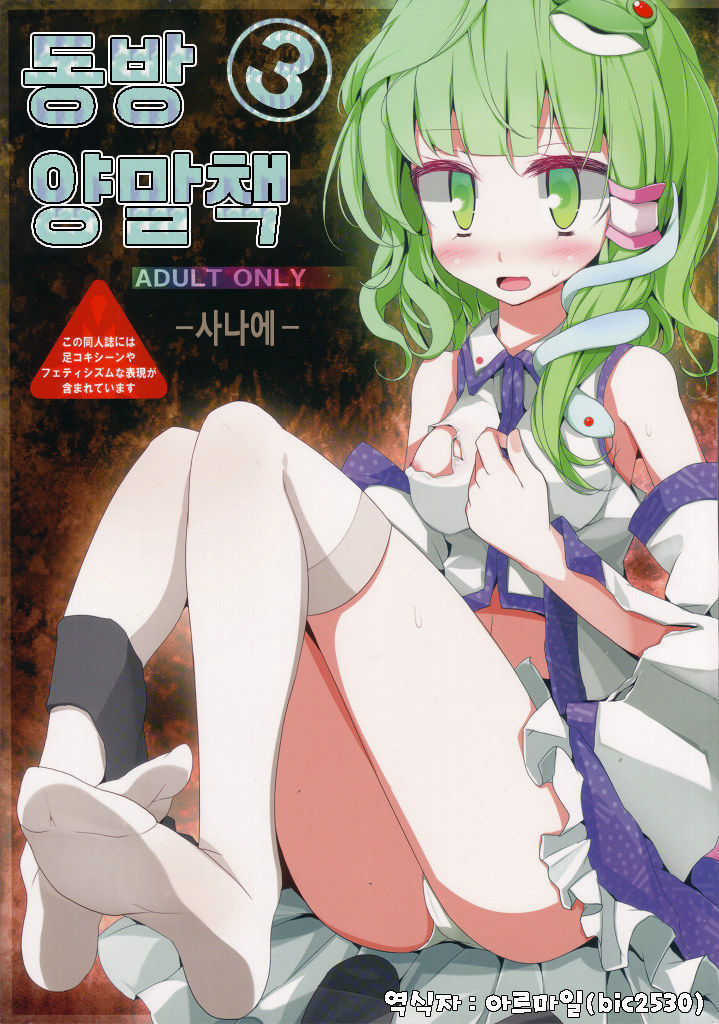 東方くつしたぼん3-さなえ- 東方くつしたぼん3-さなえ-