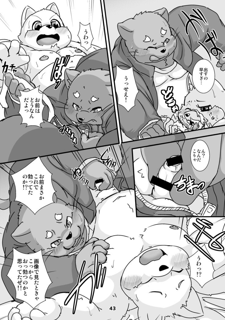 ワッフルサンドVol。 15