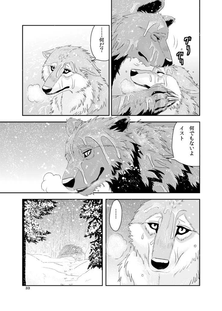 オオカミの群れ