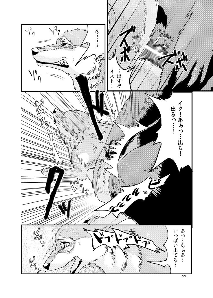 オオカミの群れ