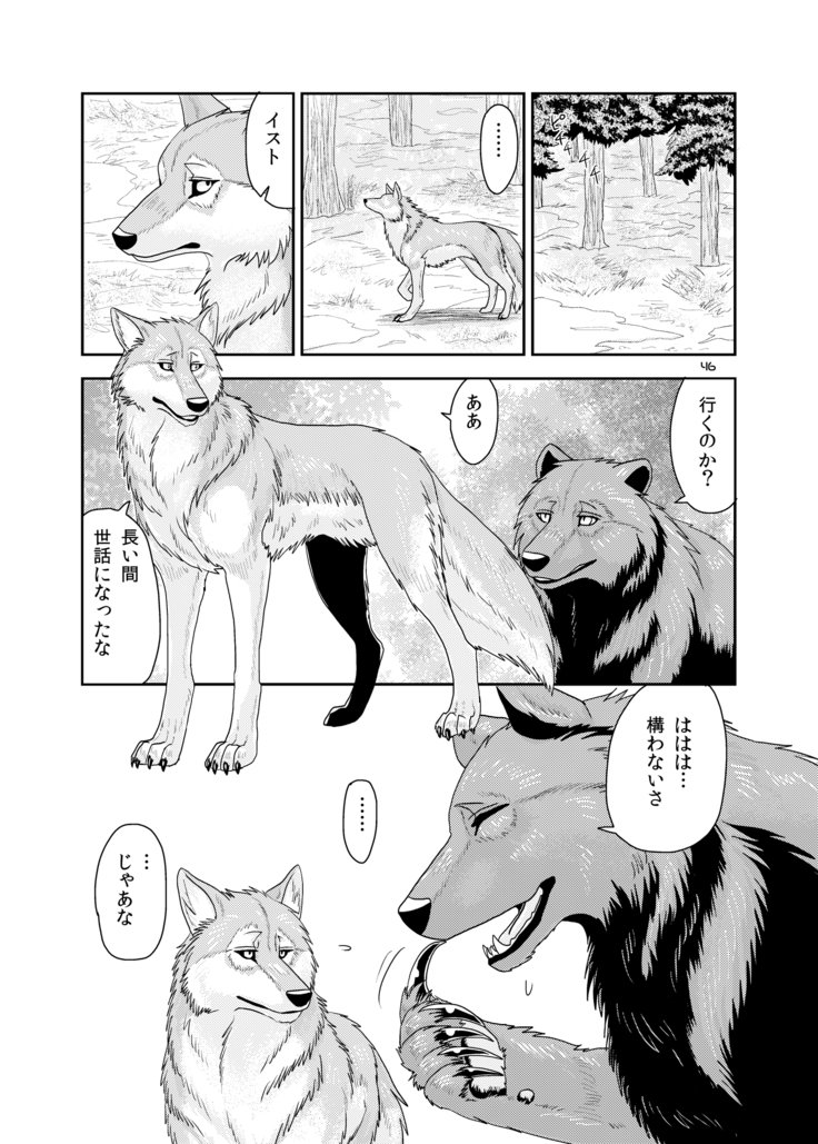 オオカミの群れ