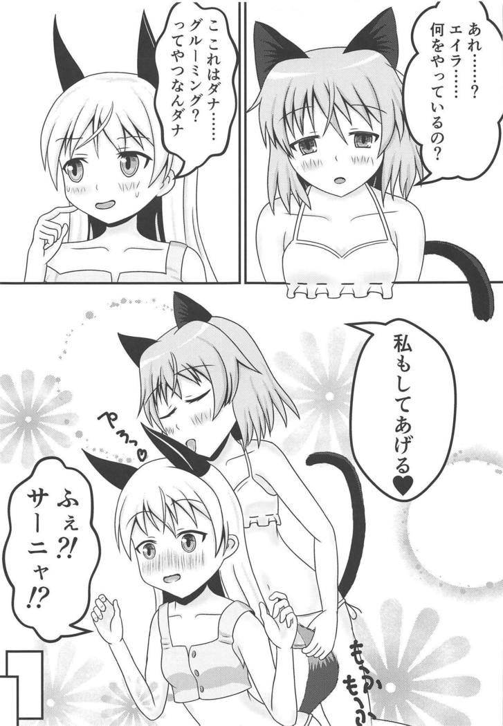 猫とキツネの天井夢