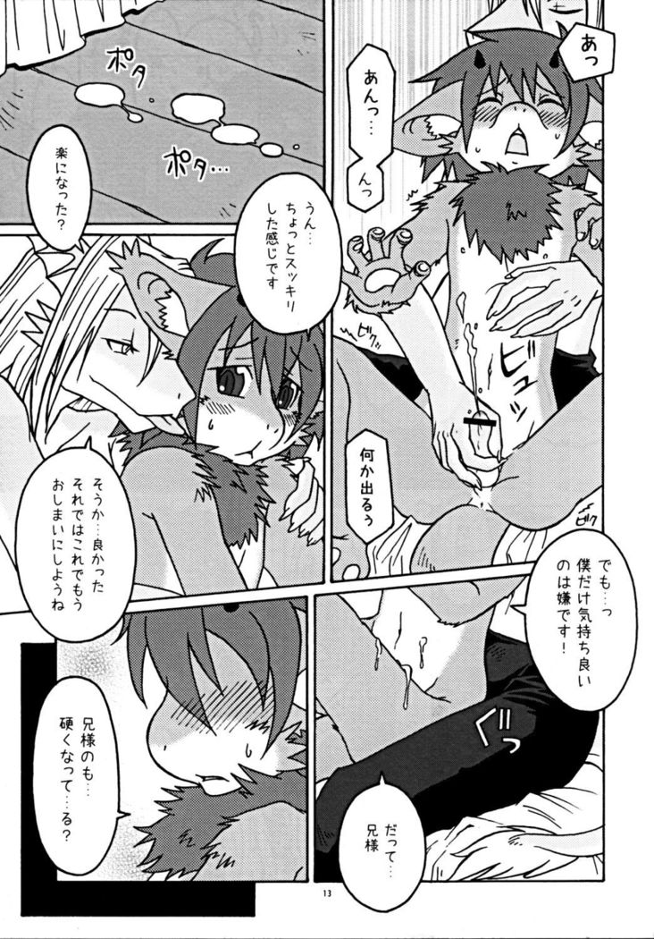 ウラノメトリア
