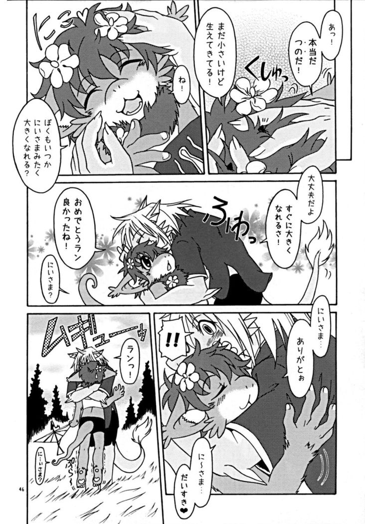 ウラノメトリア