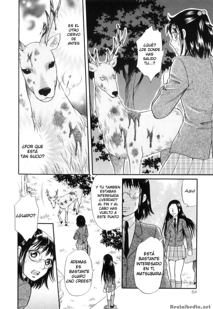 少女立の森〜シシ神の森〜|神鹿の森〜少女たちの居場所〜