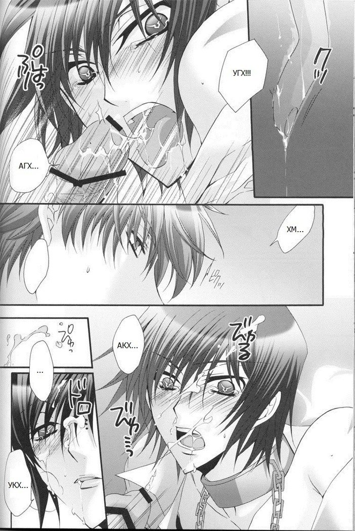 鳥のせいで