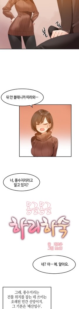 ハリのゴツゴツシェアハウスCh.0-27