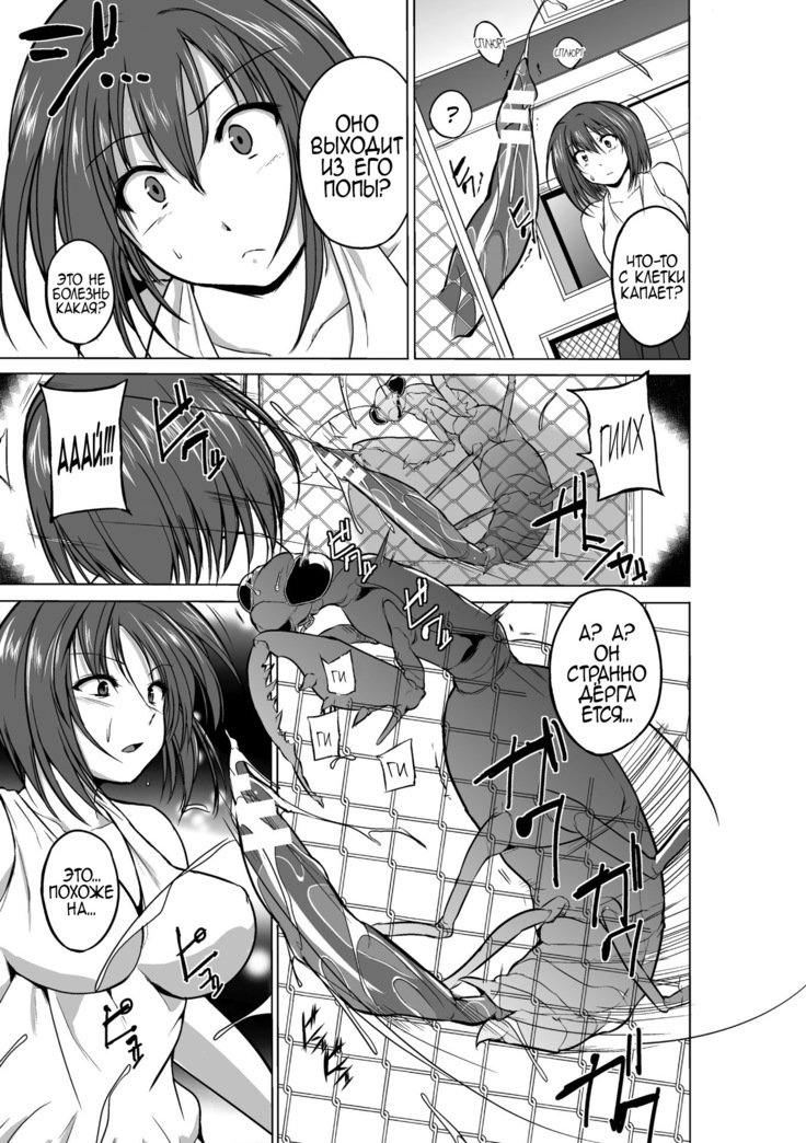 あそびむし