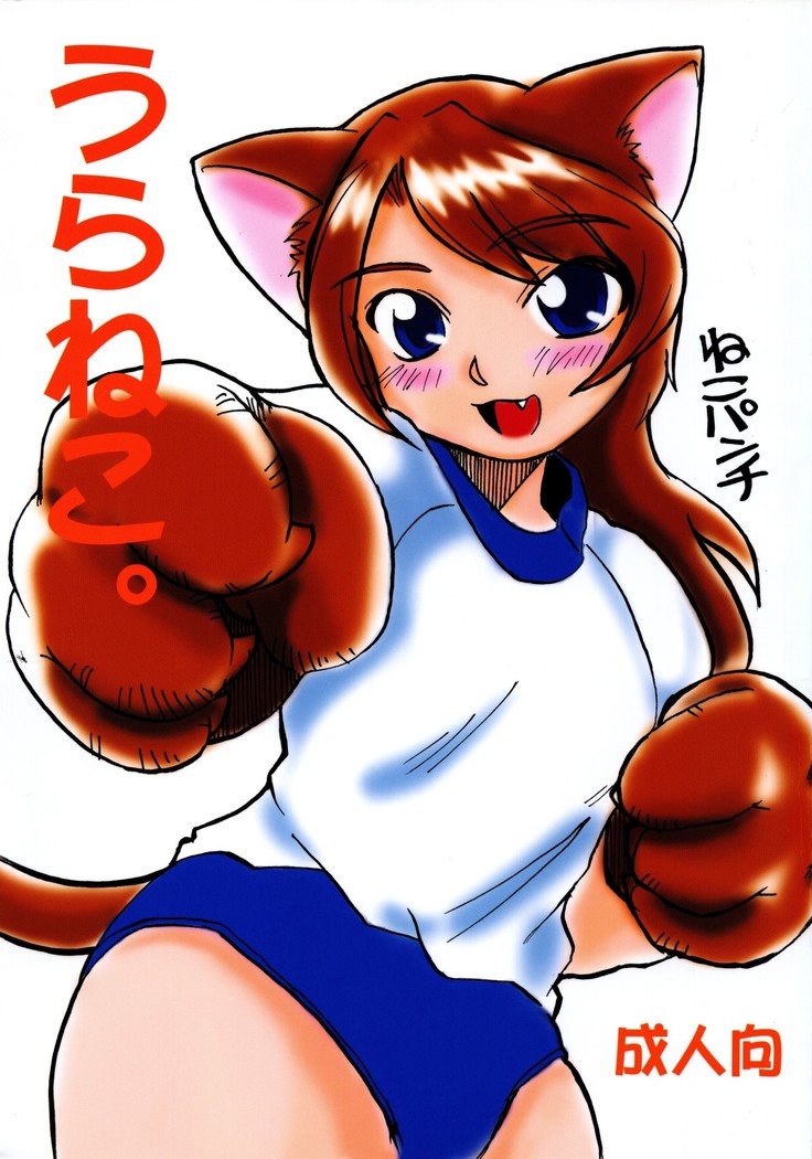 うらねこ。 うらねこ。