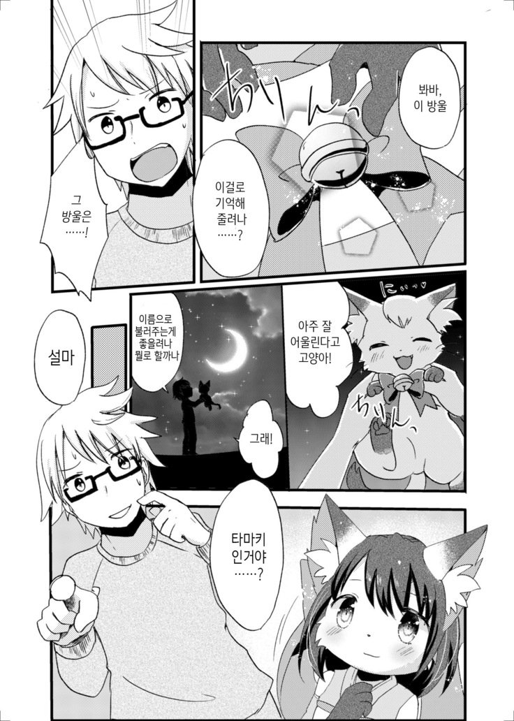 猫又の玉城ちゃん