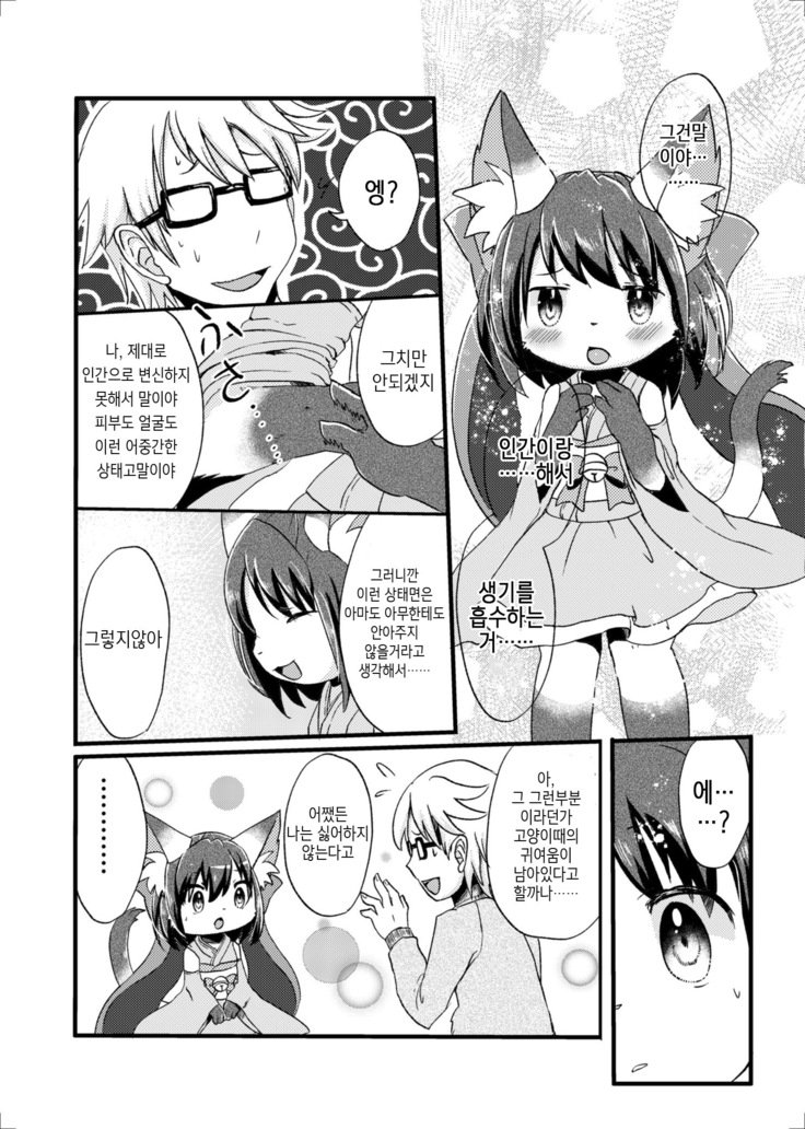 猫又の玉城ちゃん