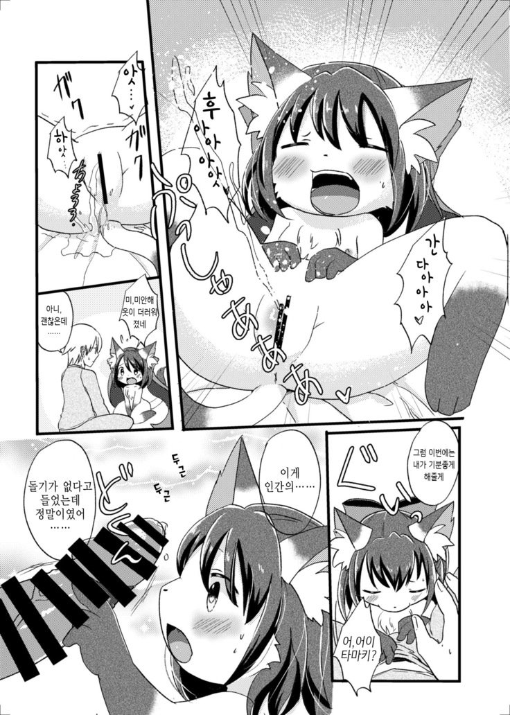 猫又の玉城ちゃん