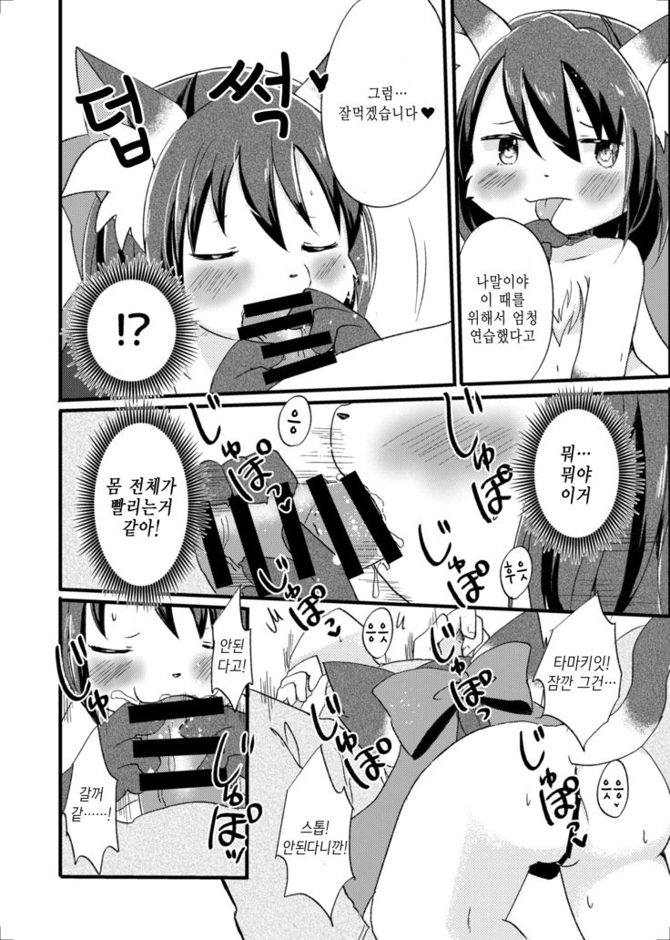 猫又の玉城ちゃん