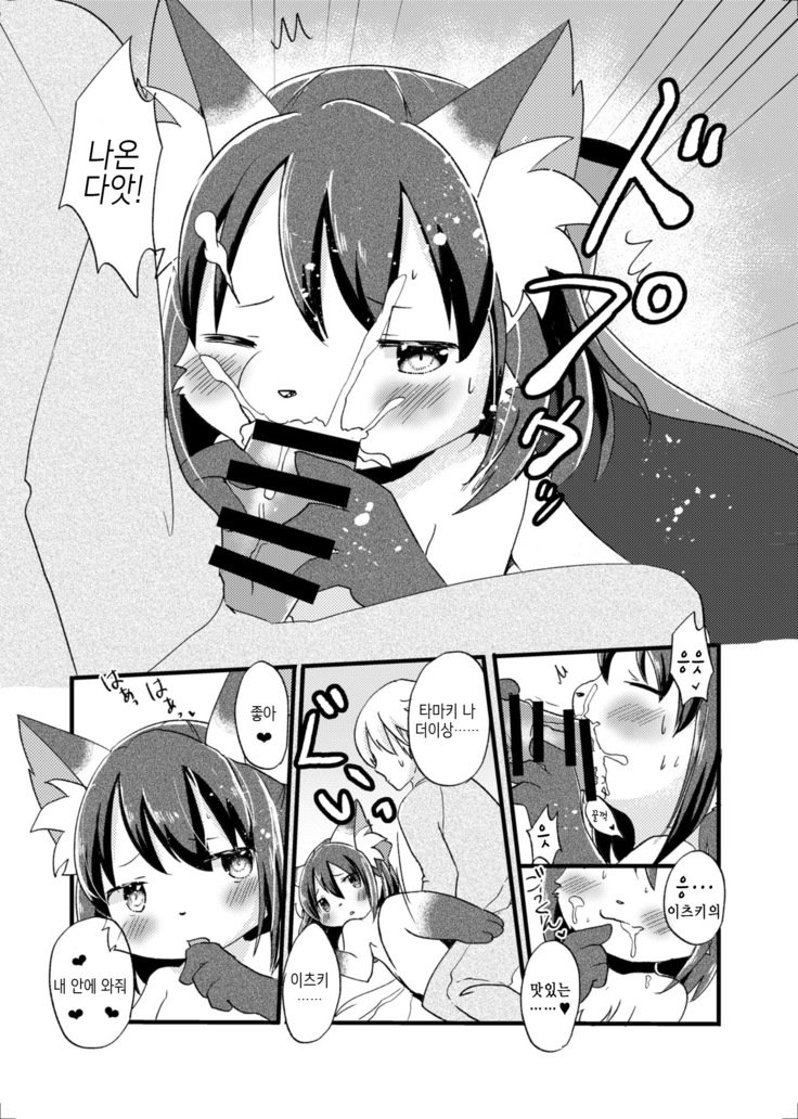 猫又の玉城ちゃん