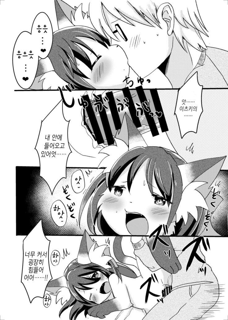 猫又の玉城ちゃん