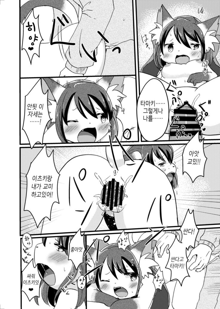 猫又の玉城ちゃん