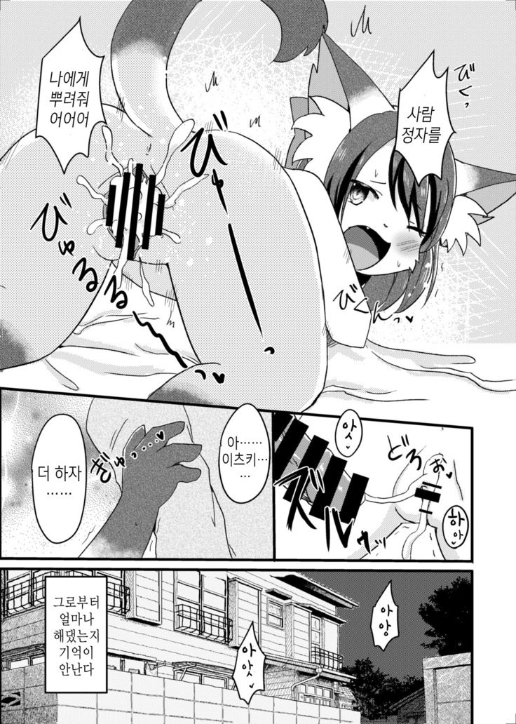 猫又の玉城ちゃん