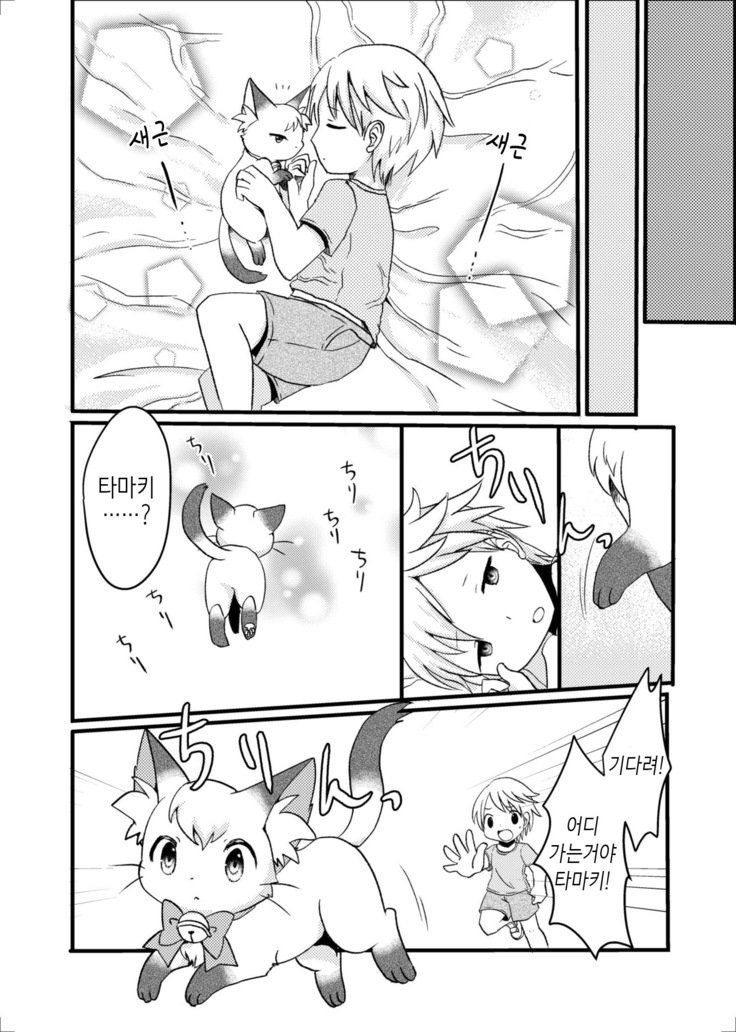 猫又の玉城ちゃん