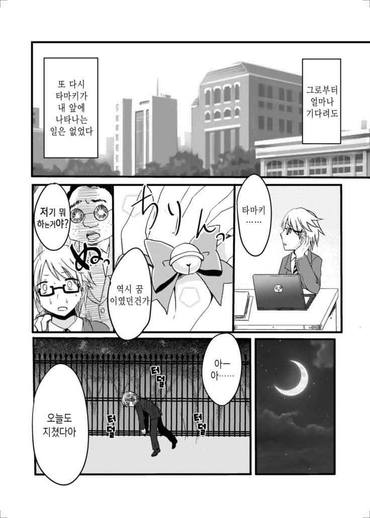 猫又の玉城ちゃん