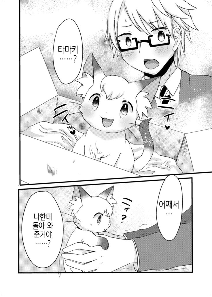 猫又の玉城ちゃん