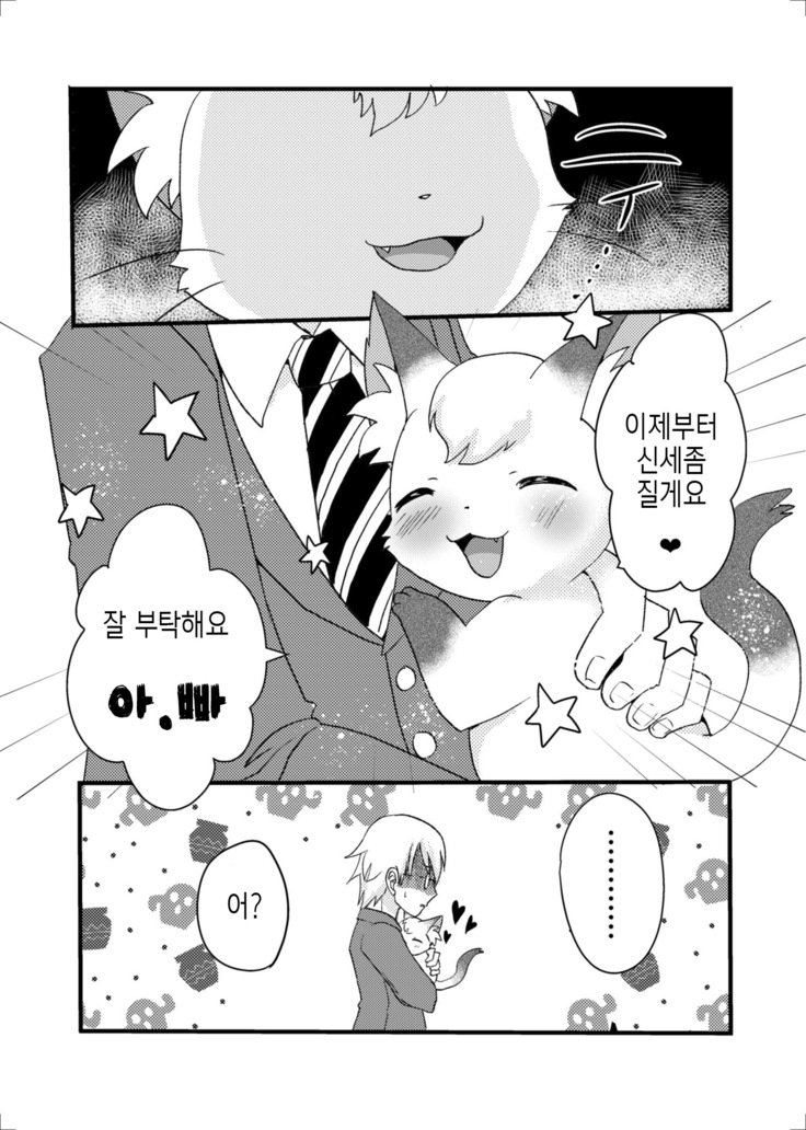 猫又の玉城ちゃん