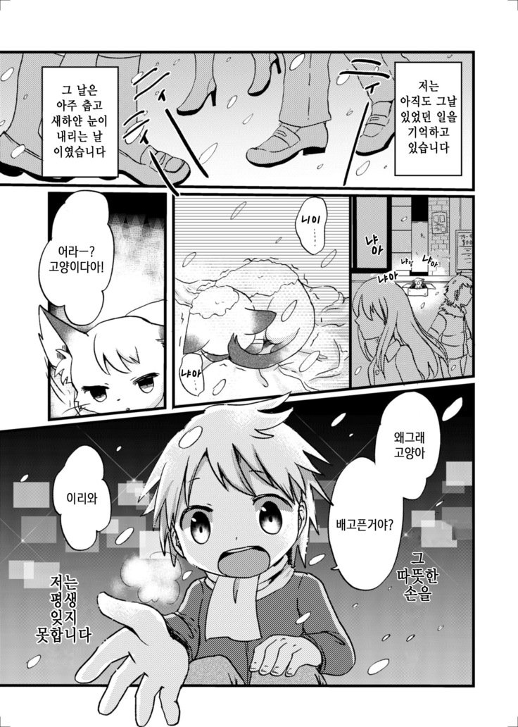 猫又の玉城ちゃん