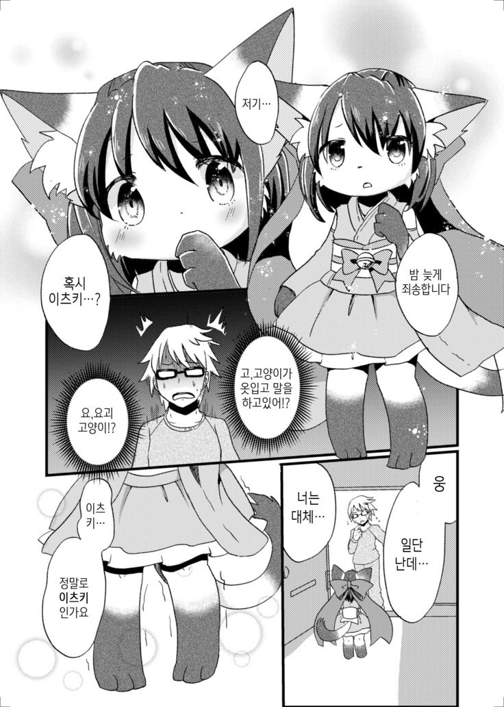 猫又の玉城ちゃん