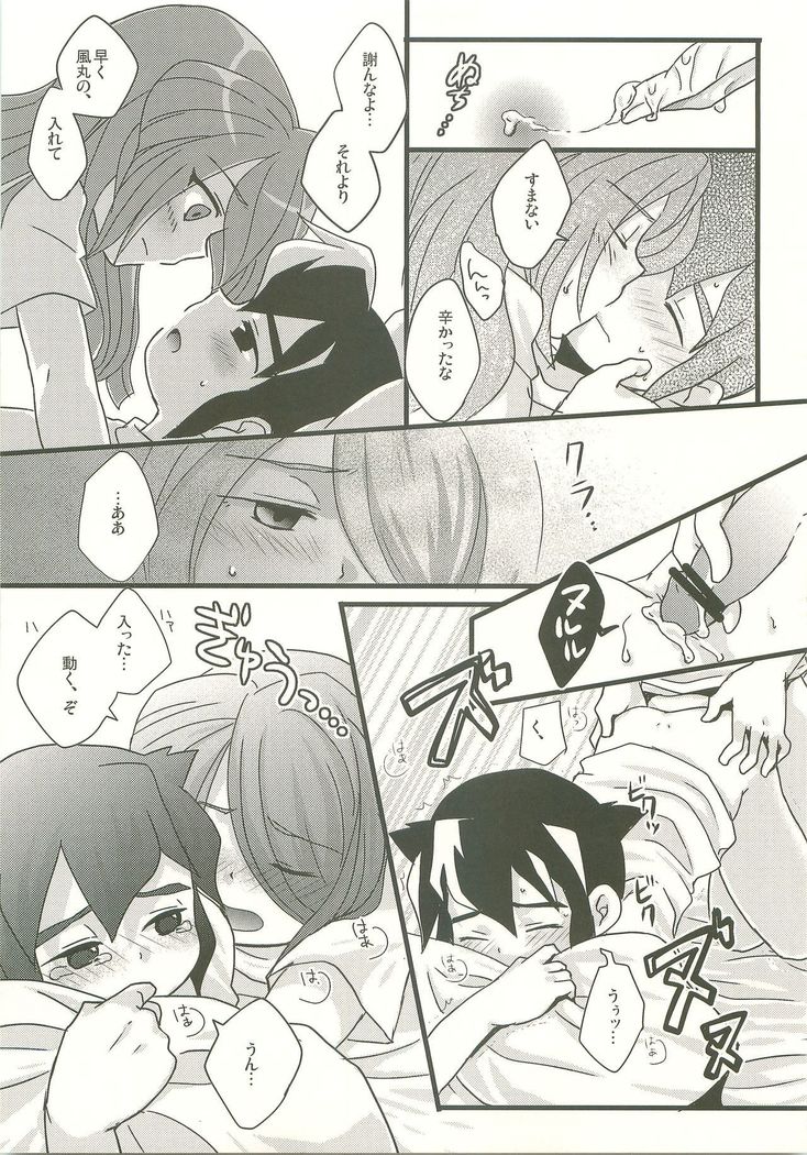 スキノシルシノキス