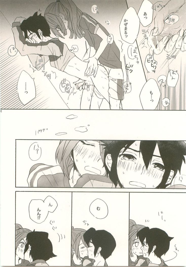 スキノシルシノキス