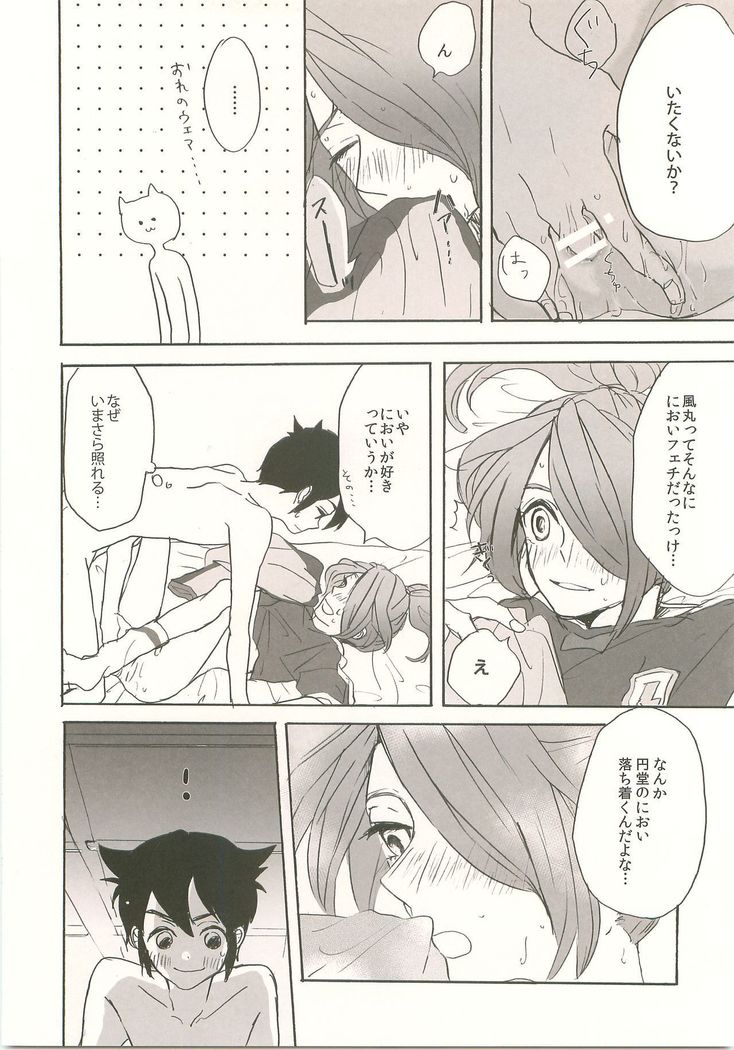 スキノシルシノキス