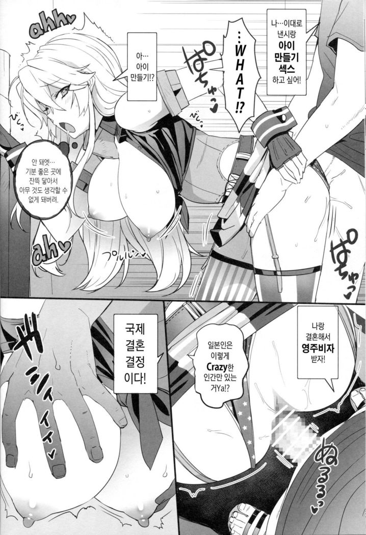 戦艦ナンシー