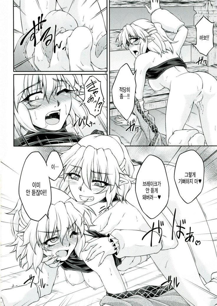 橋姫新食-さん-