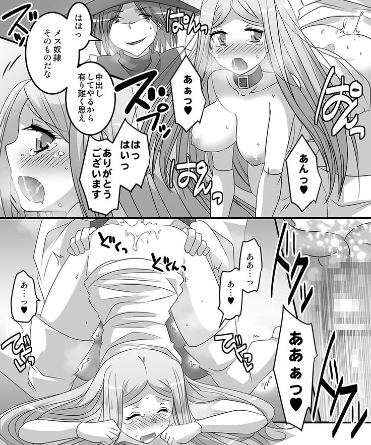 岡石品揃えパック2