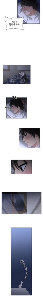 キンポウゲCh.0-24