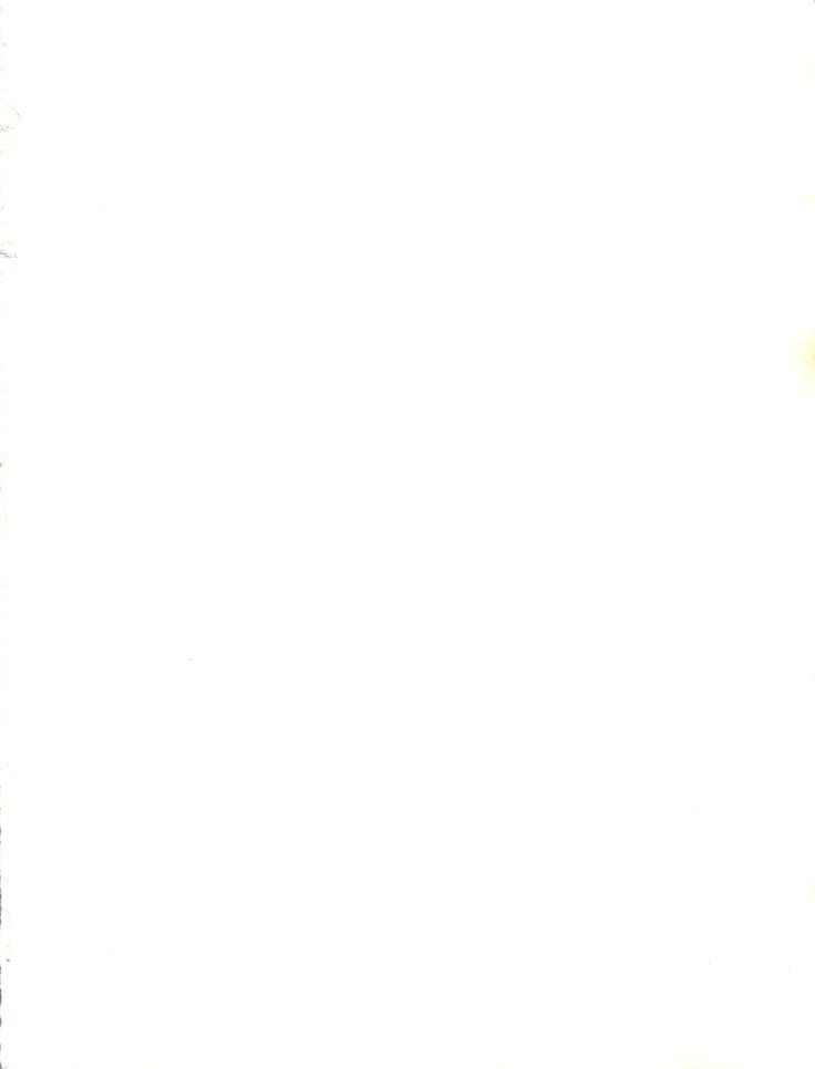 スレイヤーズタイニー スレイヤーズタイニー