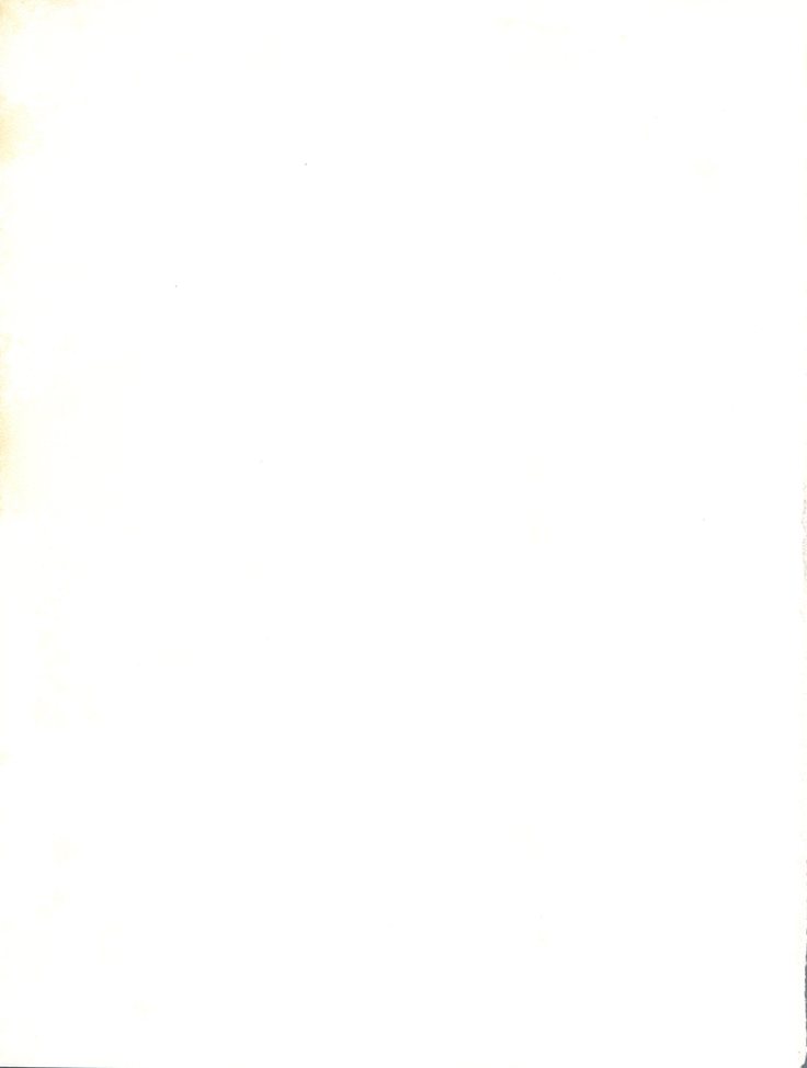 スレイヤーズタイニー スレイヤーズタイニー