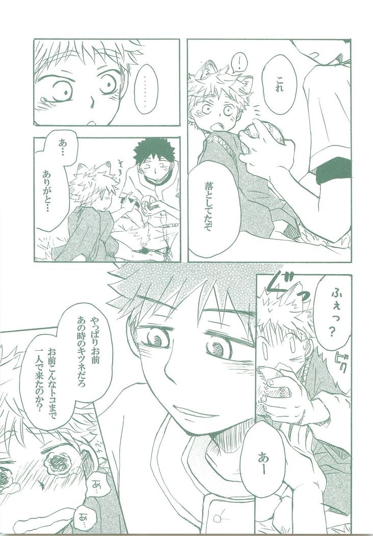 コギツネ人人網