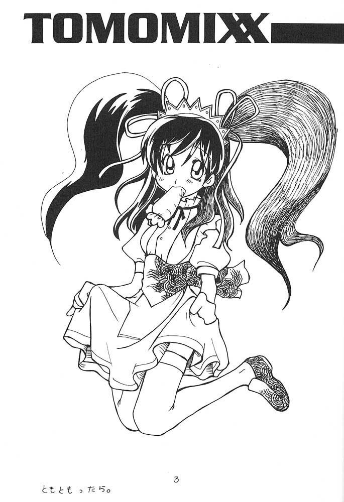 TOMOMIXX TOMOMIXX