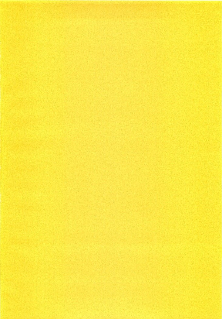 山姫の美–文子