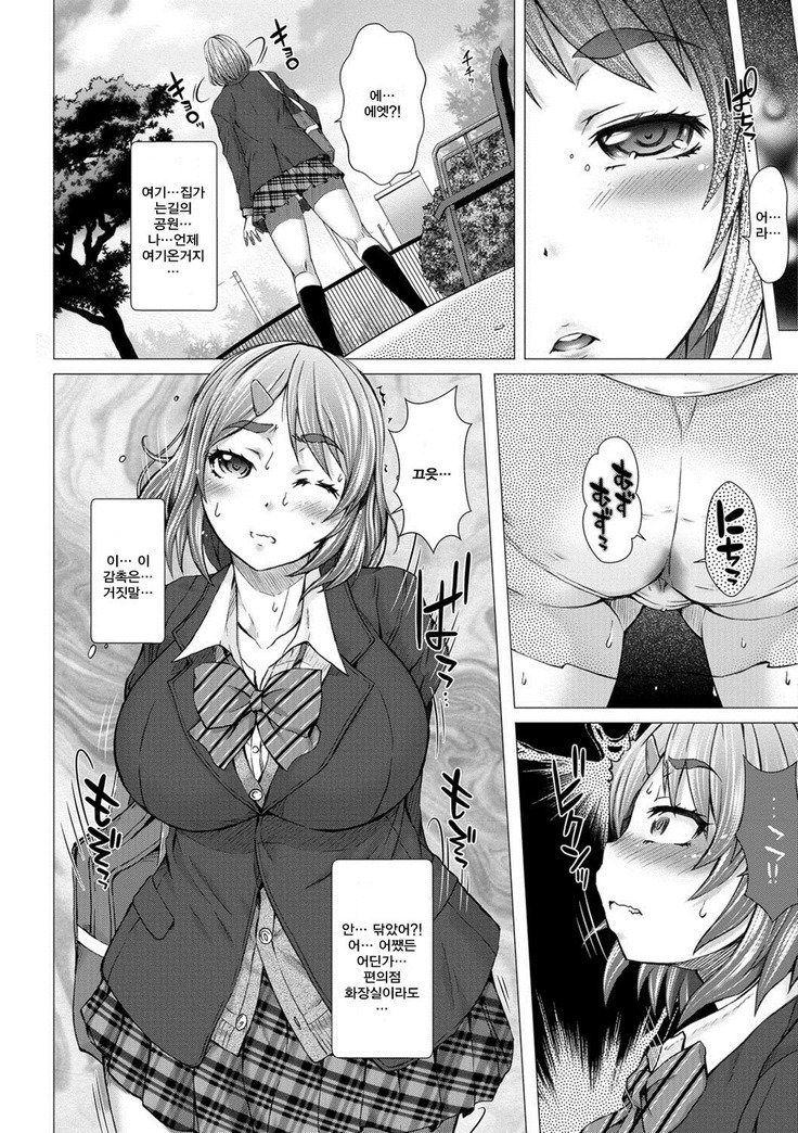 神北女子ハイセツブ日記-神北女性排泄部日記