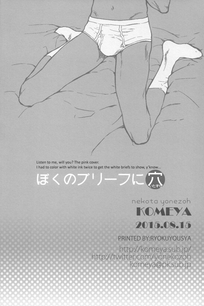 ブリーフの遊び場