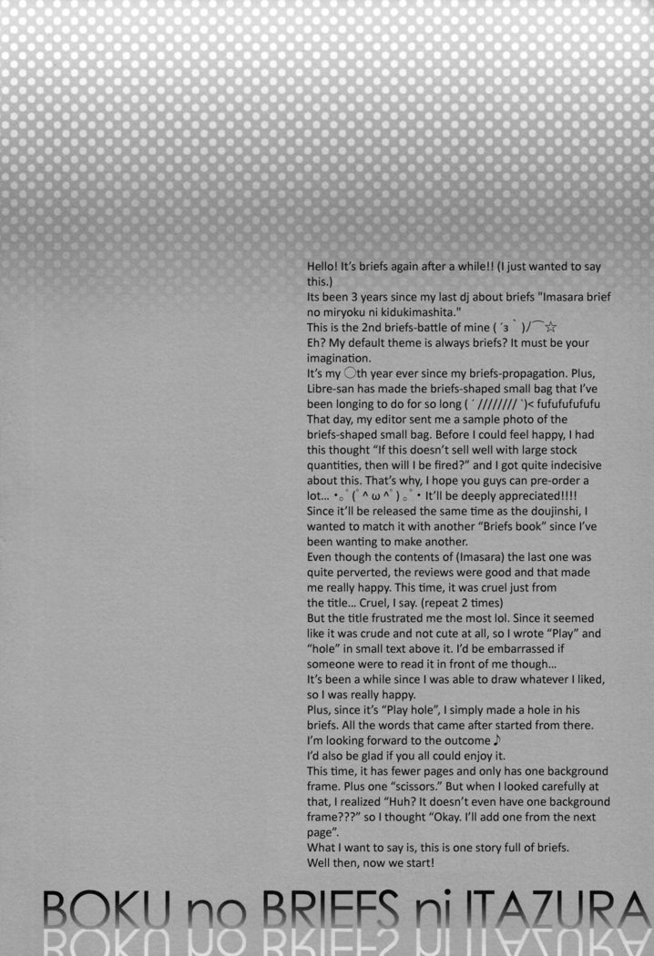 ブリーフの遊び場