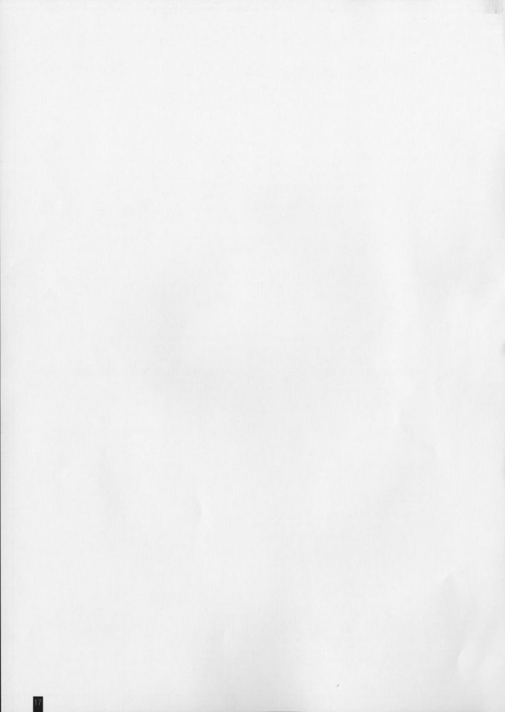 kemofavor 2-2016年夏のお気に入り-（各種）