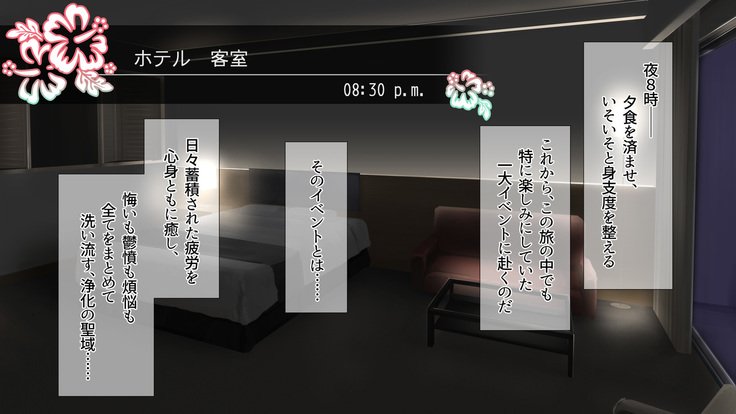 2営業4日セックスリゾートインマグワイ島