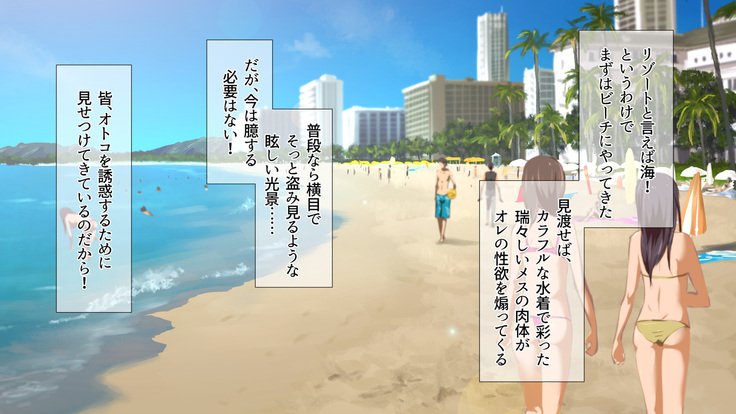 2営業4日セックスリゾートインマグワイ島