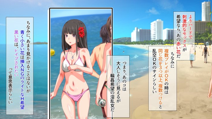 2営業4日セックスリゾートインマグワイ島