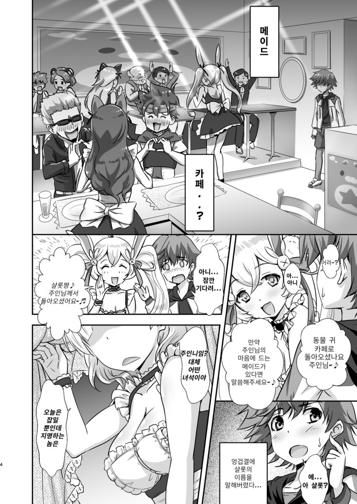 ご注文はうさぎですか