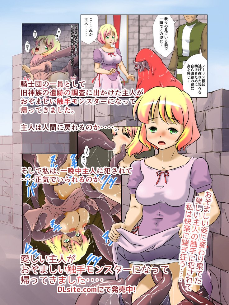 きょうゆおんなきし様まてょうきょうばしゃの足袋