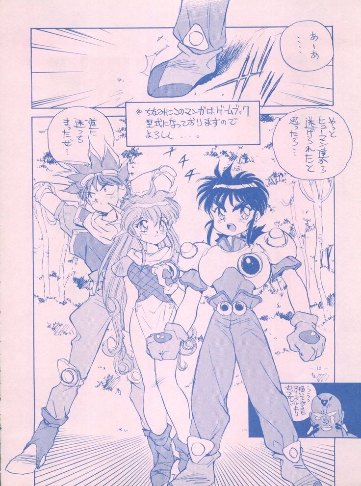 メイレイデンパIVゼッタイ安政